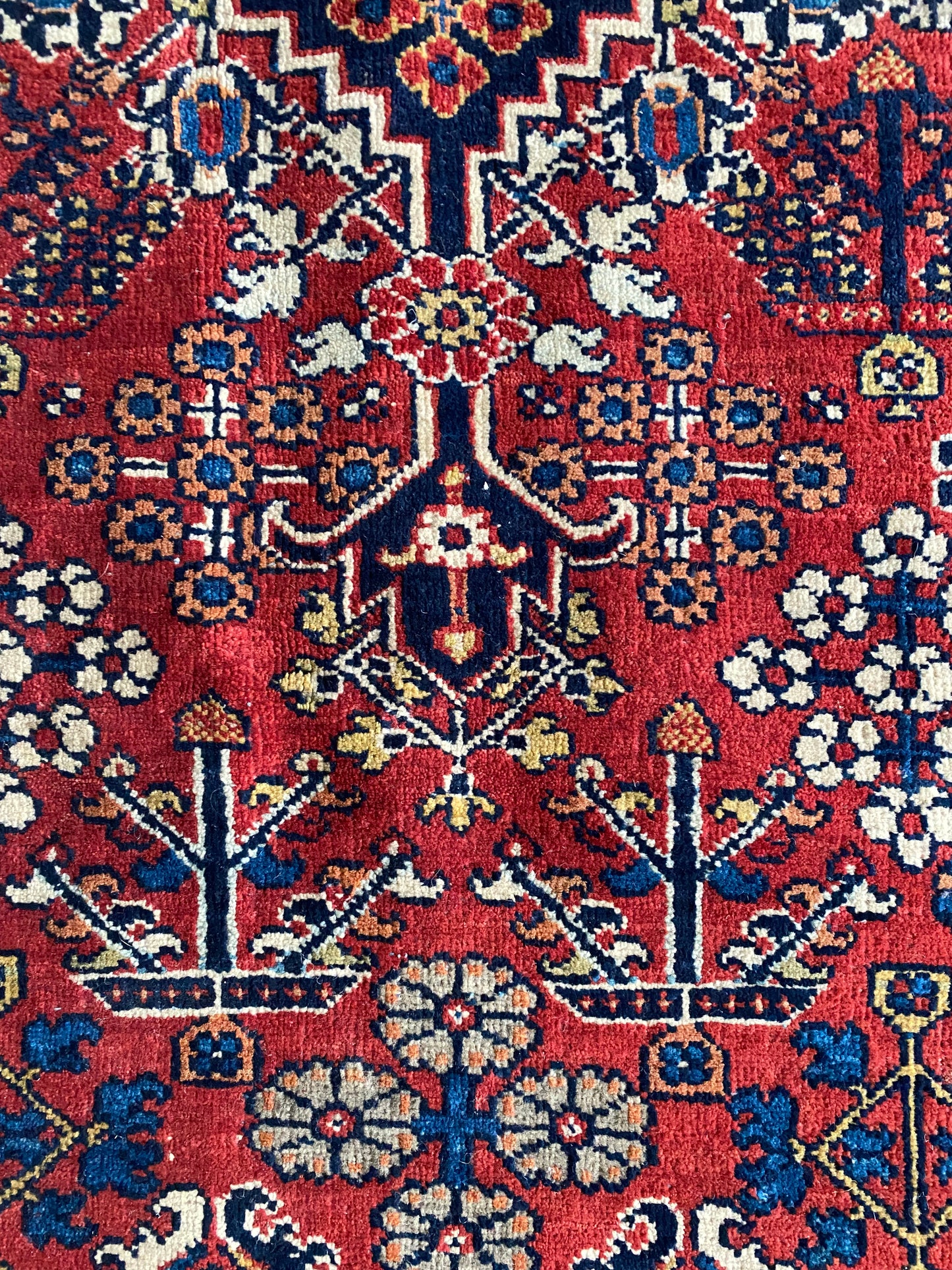 Antique Joshegan Rug